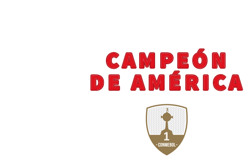Asociación Atlética Argentinos Juniors